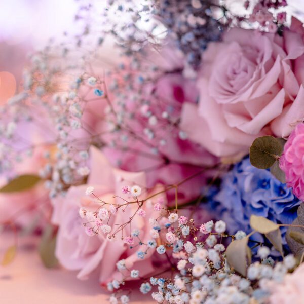 Katarzyna Cepa Desing