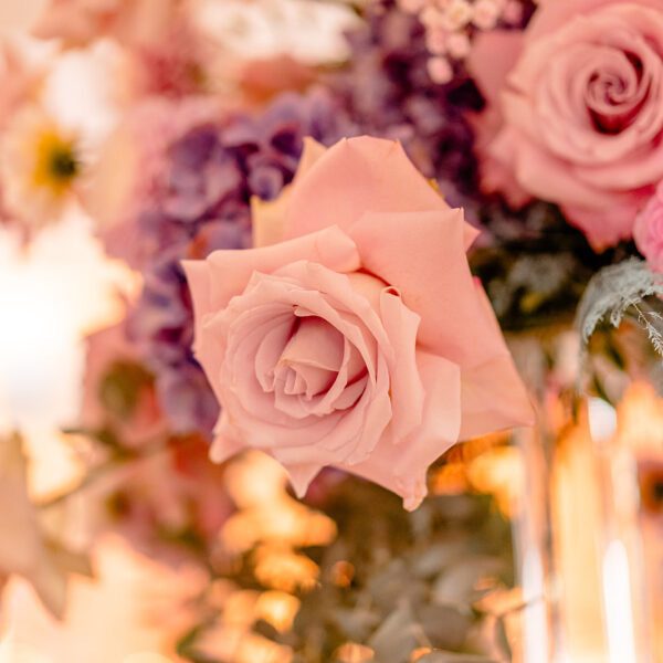 Katarzyna Cepa Desing