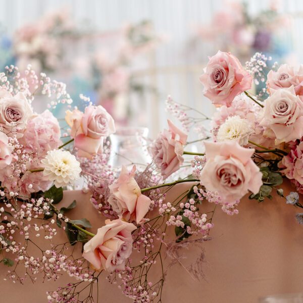 Katarzyna Cepa Desing