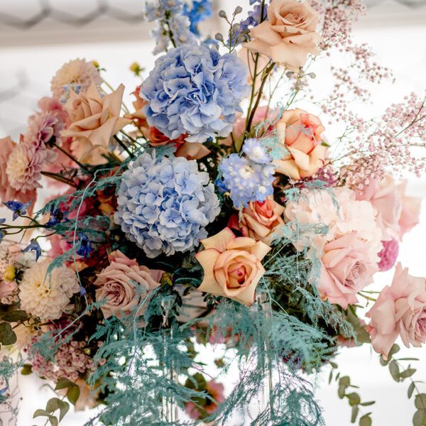 Katarzyna Cepa Desing