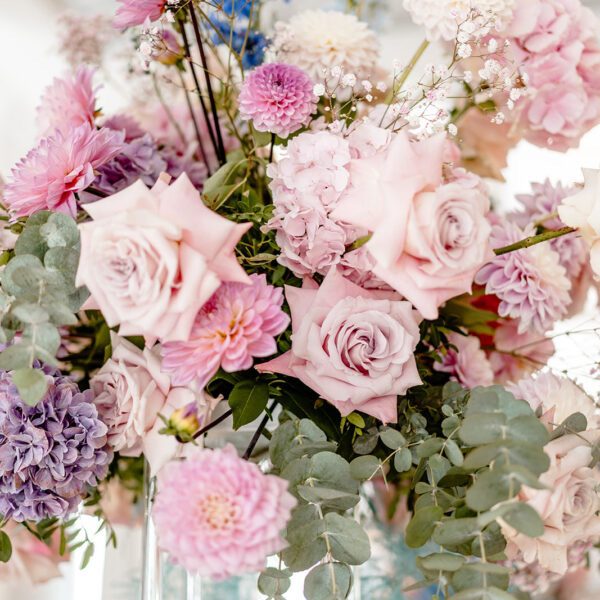 Katarzyna Cepa Desing