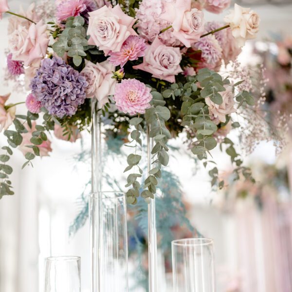 Katarzyna Cepa Desing