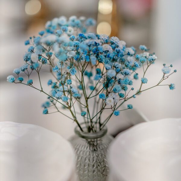 Katarzyna Cepa Desing