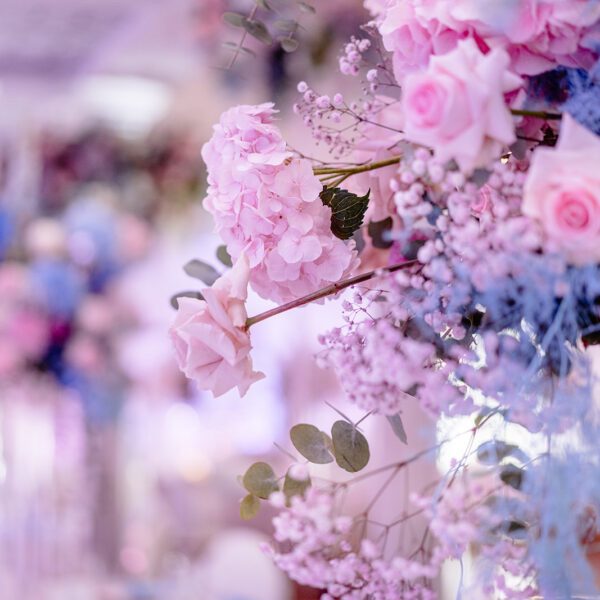 Katarzyna Cepa Desing